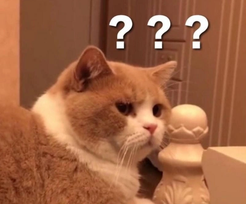 Cùng cười với những hình ảnh meme câu hỏi