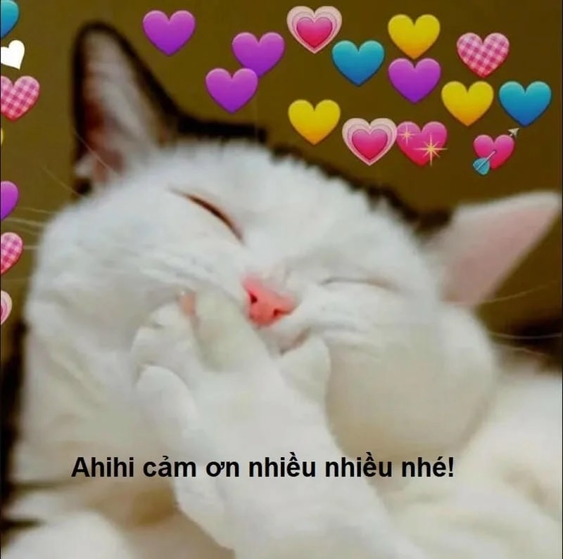 Tìm hiểu sức hút của meme hôn