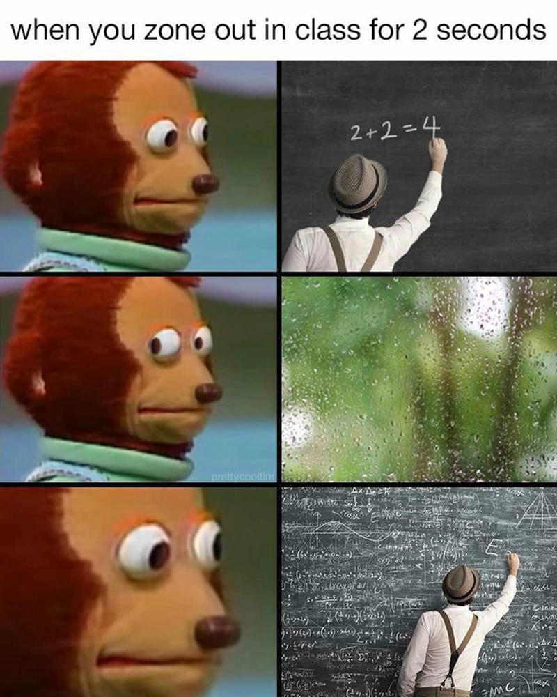 Tìm hiểu sức hút của meme khỉ