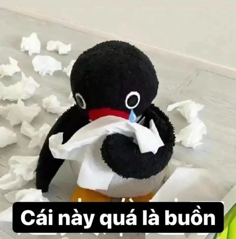 Cùng du ngoạn meme khóc hot trend