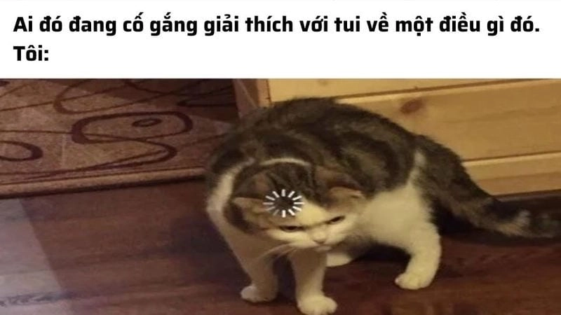 Săn lùng những khoảnh khắc meme không hiểu troll