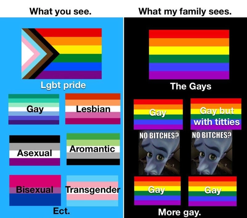 Gợi ý những bức meme lgbt troll