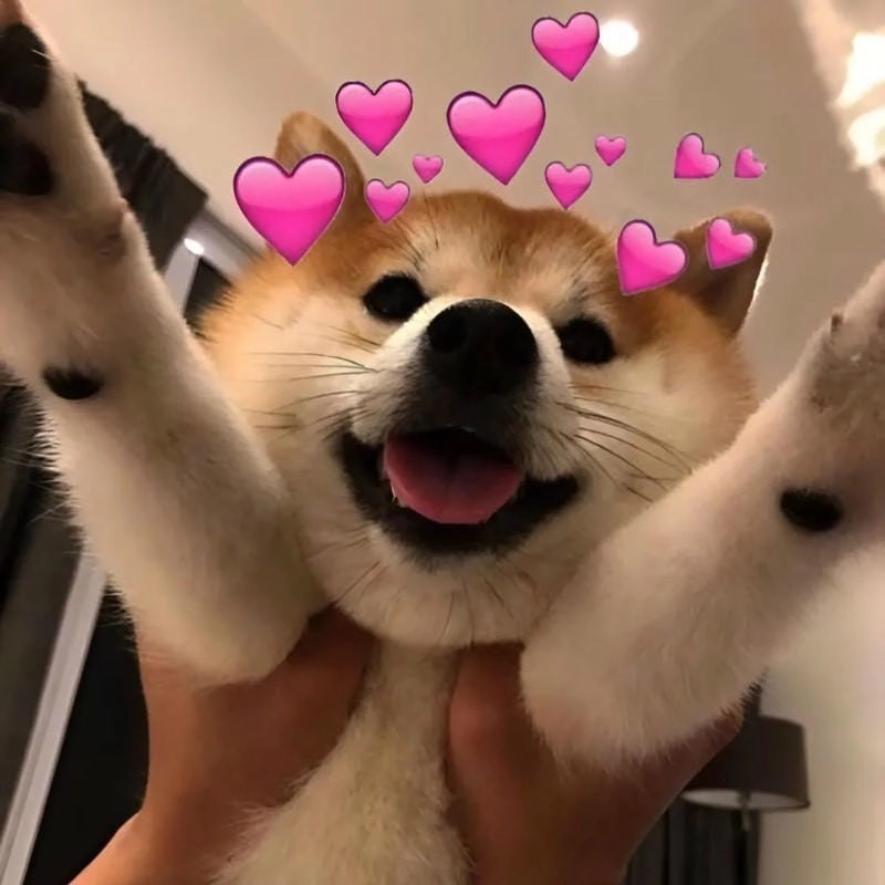 Cùng cười với những hình meme tình yêu