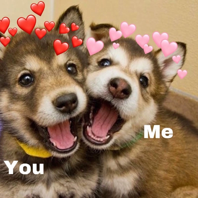 Lạc lối trong thế giới meme love dễ thương