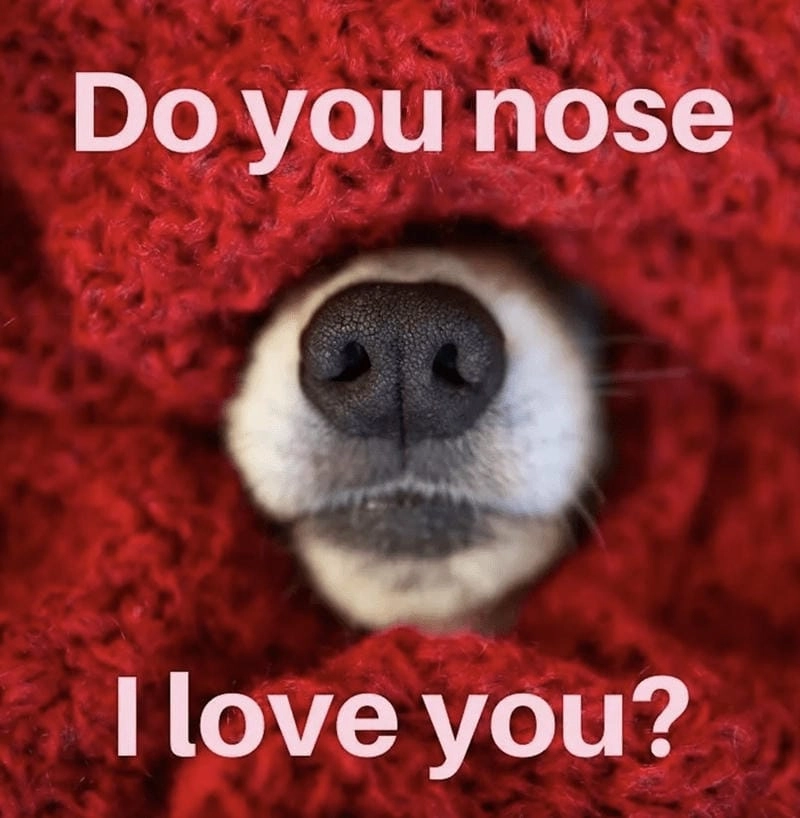 Thức dậy cùng những hình meme love buồn