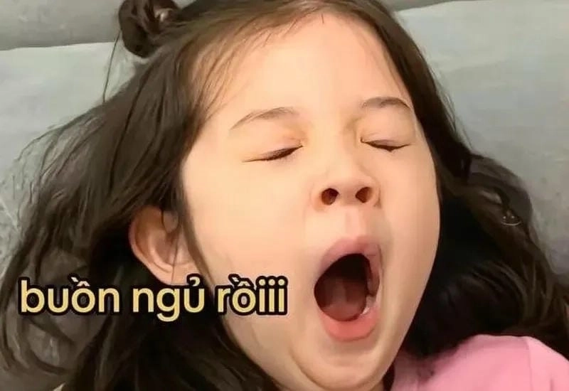 Khám phá những bức meme mất ngủ hài hước