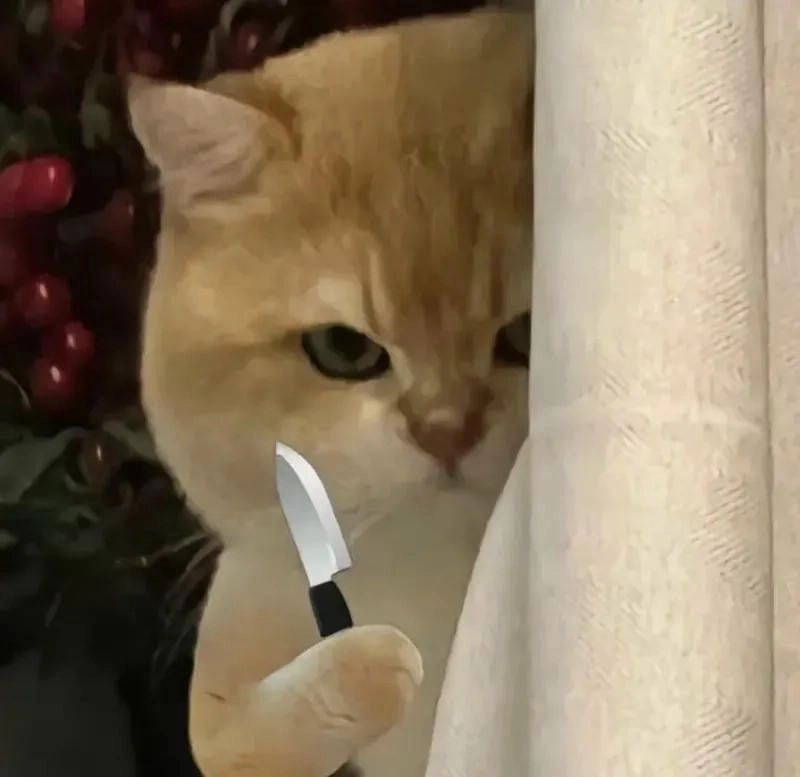 Cùng cười với những hình meme mèo cầm dao buồn cười