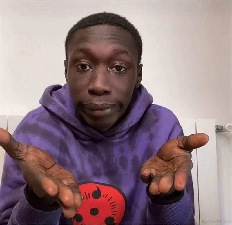 Lạc lối trong thế giới meme ngạc nhiên đáng yêu