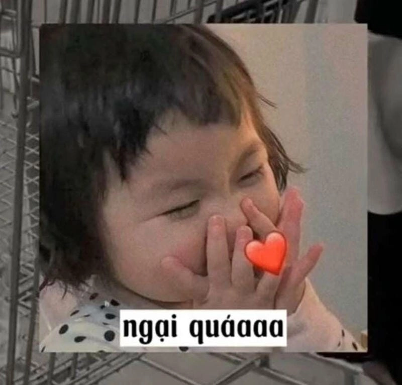 Lạc lối trong thế giới meme ngại vui nhộn