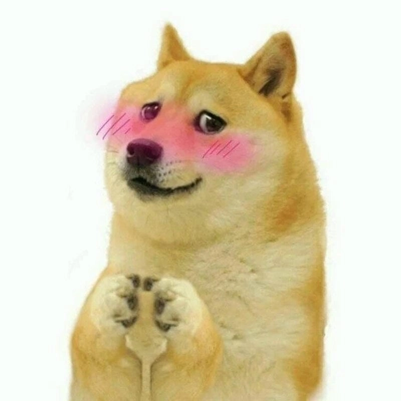 Ngắm nhìn vẻ đẹp meme ngại đáng yêu