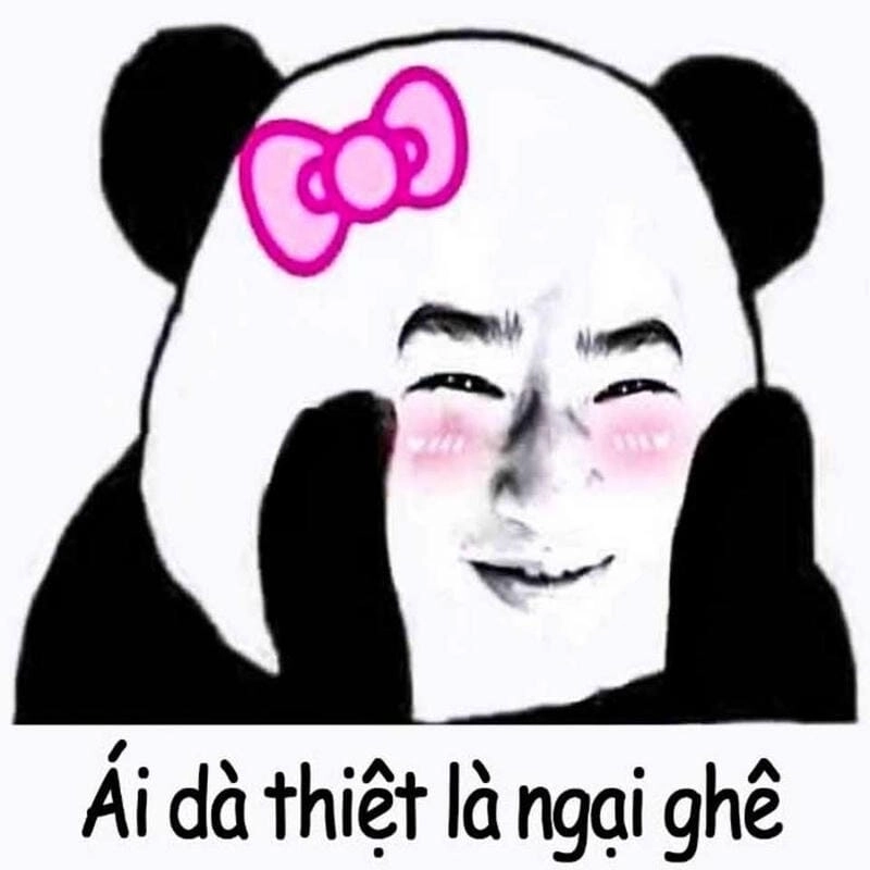 Cùng du ngoạn meme ngại đời sống