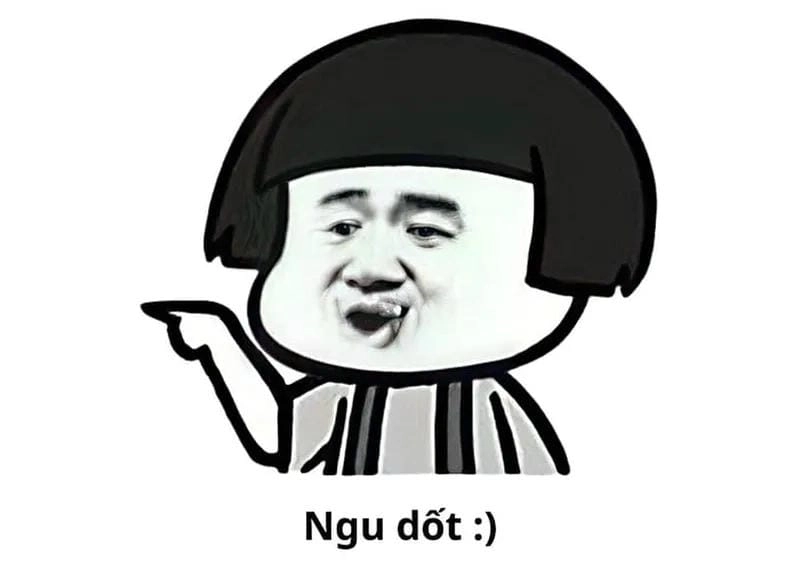 Săn lùng những khoảnh khắc meme ngu troll