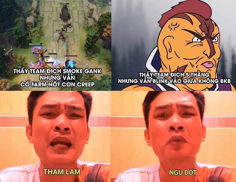 Lạc lối trong thế giới meme ngu vui nhộn