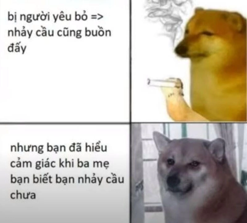 Tìm hiểu sức hút của meme nhân văn