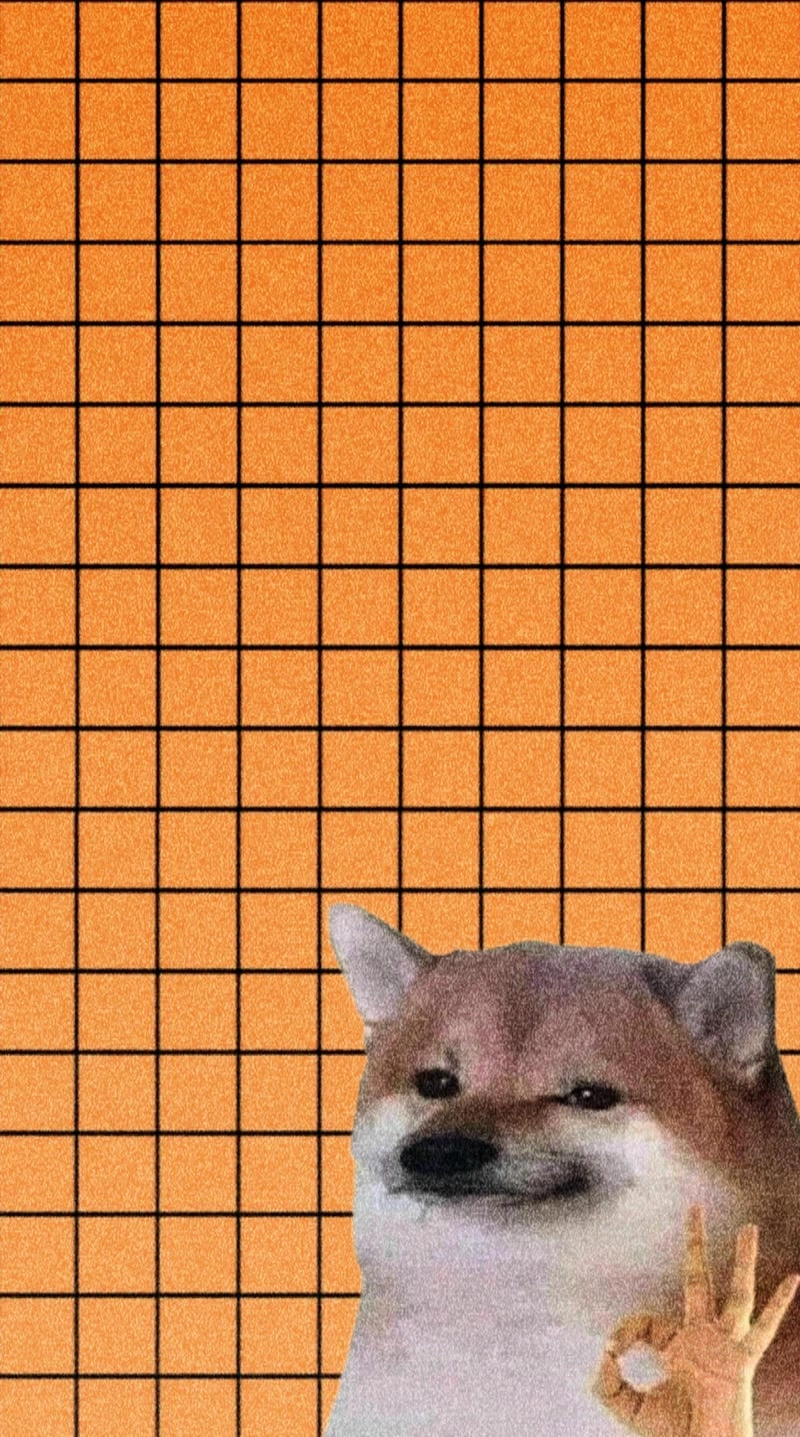 Lạc lối trong thế giới meme ok troll
