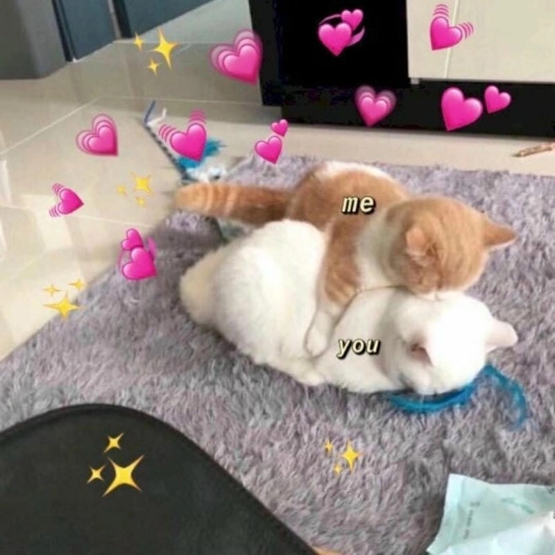 Tìm hiểu sức hút của meme Ôm