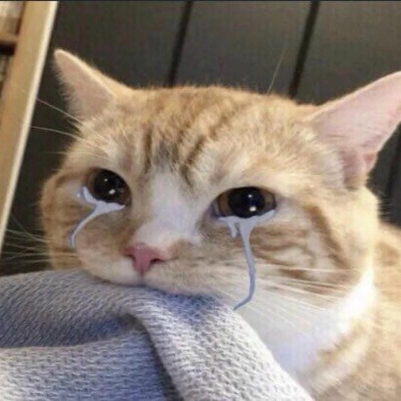 Lạc lối trong thế giới meme sad hài hước