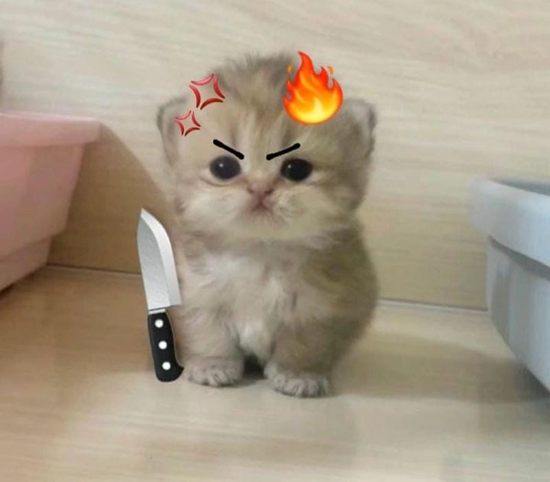 Cùng du ngoạn meme sợ con người