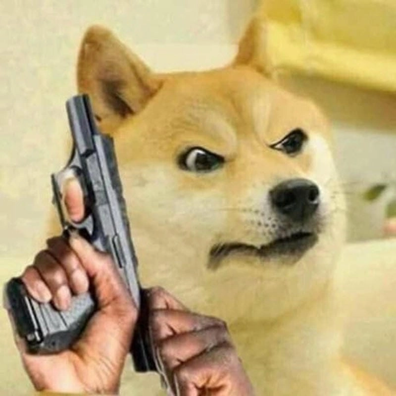 Khám phá những bức ảnh meme súng hài hước