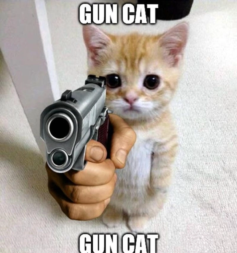 Cùng cười với những hình ảnh meme súng