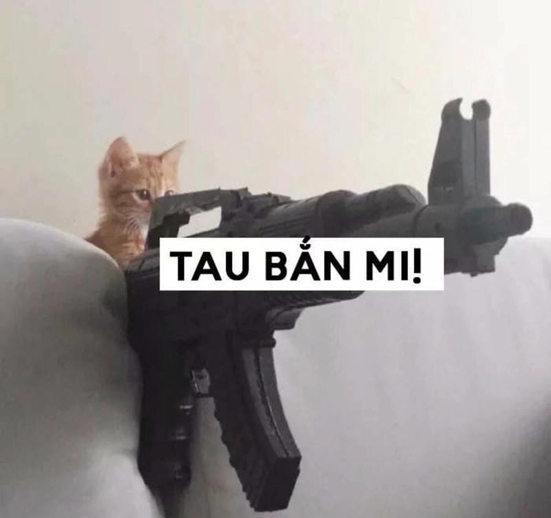 Thức dậy cùng những hình meme súng biểu cảm
