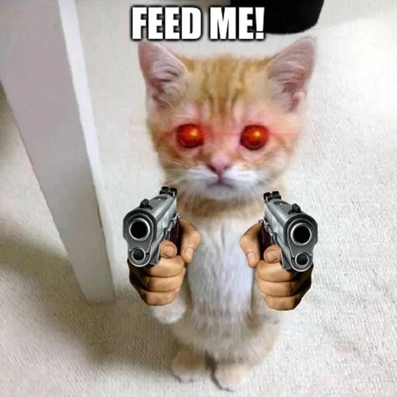 Tìm về meme súng độc đáo