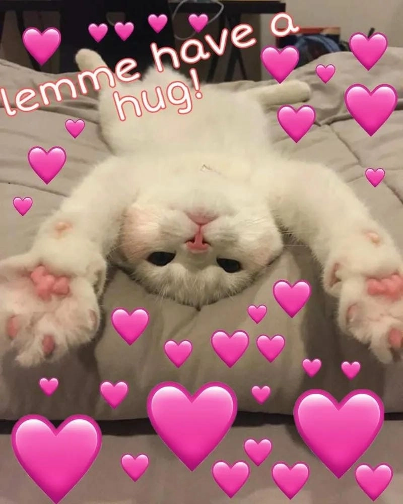 Lạc lối trong thế giới meme thả tim vui nhộn