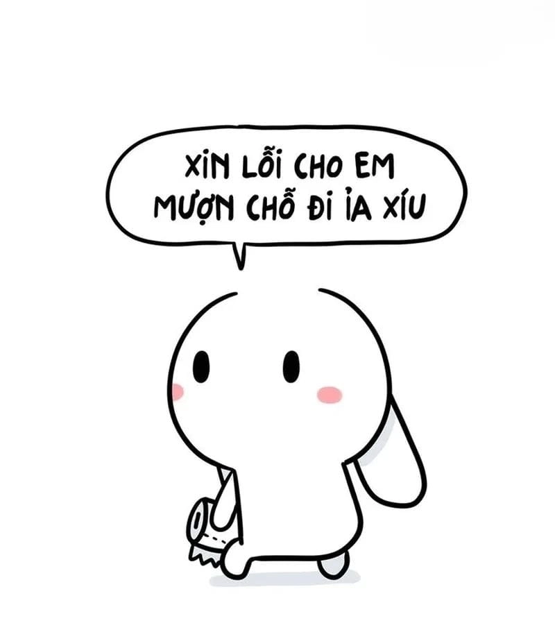 Khám phá những bức ảnh meme thỏ hài hước