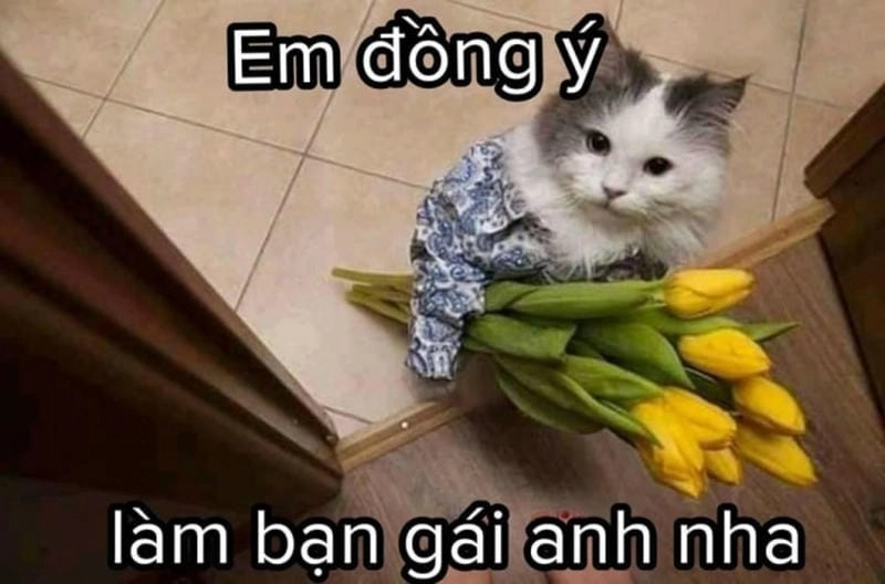Lạc lối trong thế giới meme tình yêu dễ thương