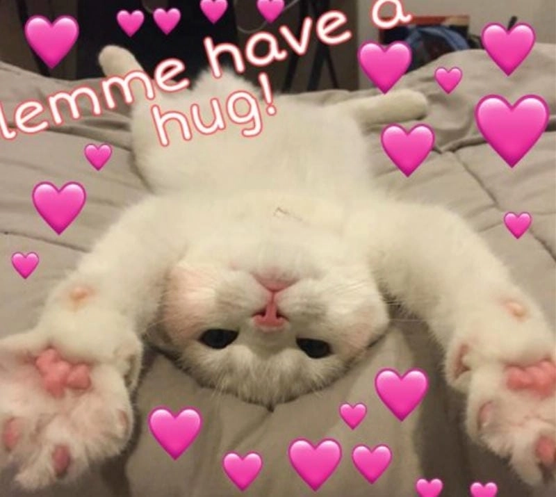 Gợi ý những bức meme trái tim cute