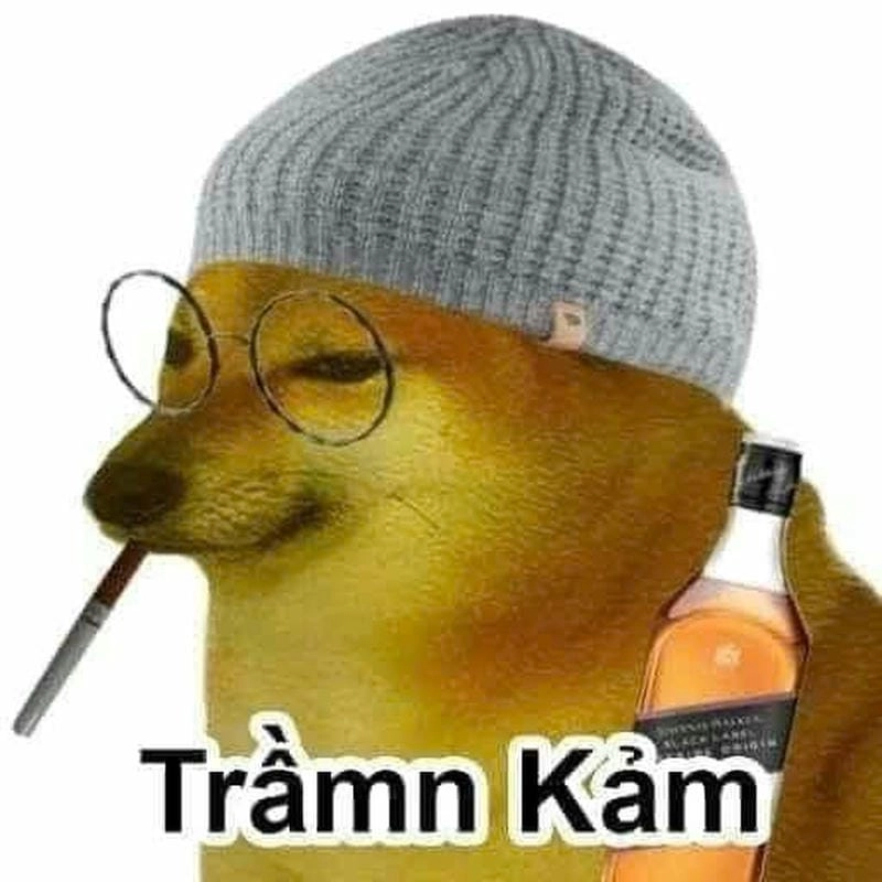 Cùng cười với những hình ảnh meme trầm cảm