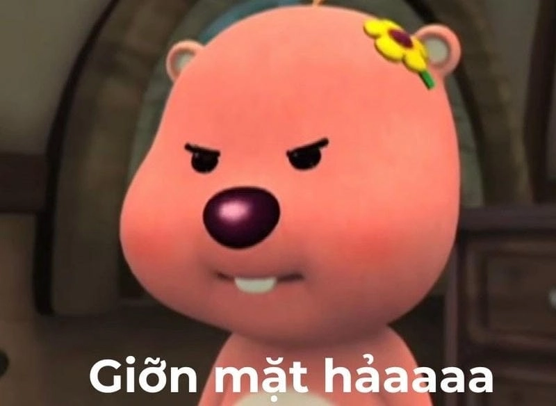 Khám phá những bức ảnh meme tức giận hài hước
