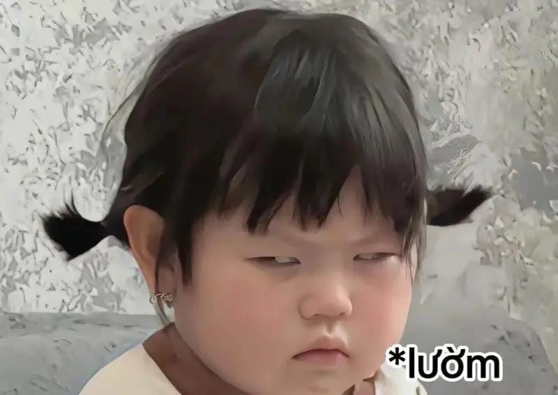 Cùng du ngoạn meme tức giận đời sống
