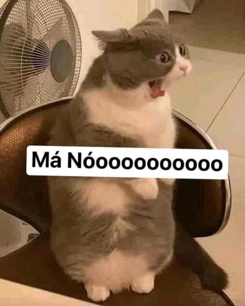 Sưu tầm những bức meme tức cười