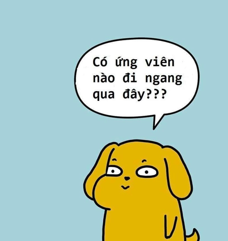 Sưu tầm những bức meme tuyển dụng công sở