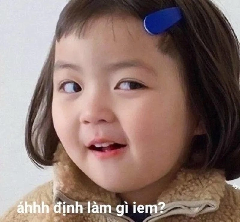 Sưu tầm những bức meme vui đời sống