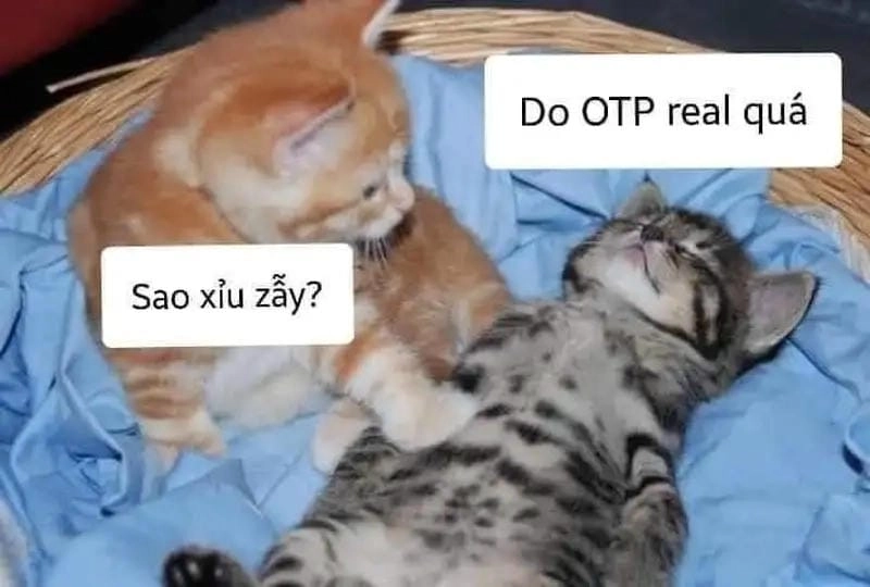 Thức dậy cùng những hình caption meme xỉu