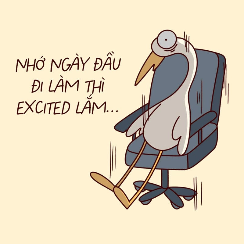 Gợi ý những bức meme xỉu viral