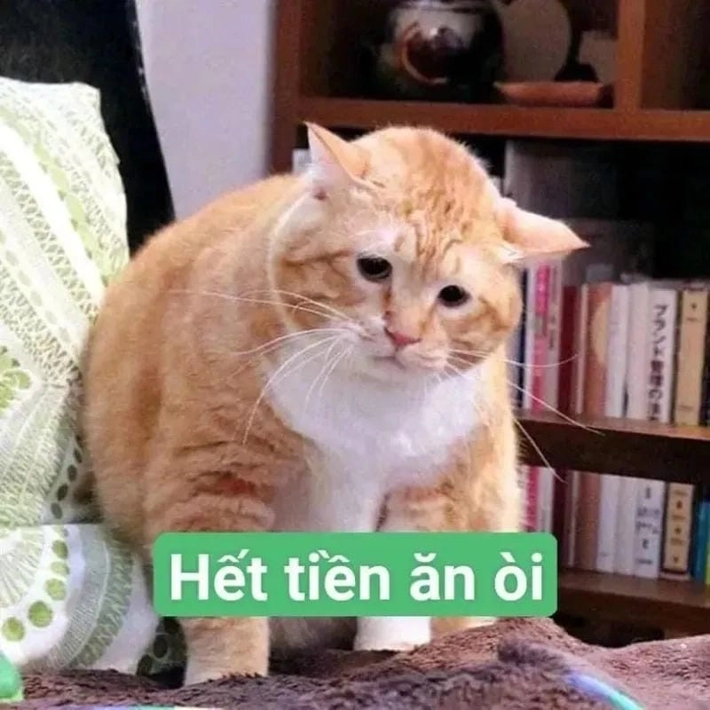 Sưu tầm những bức money meme trend