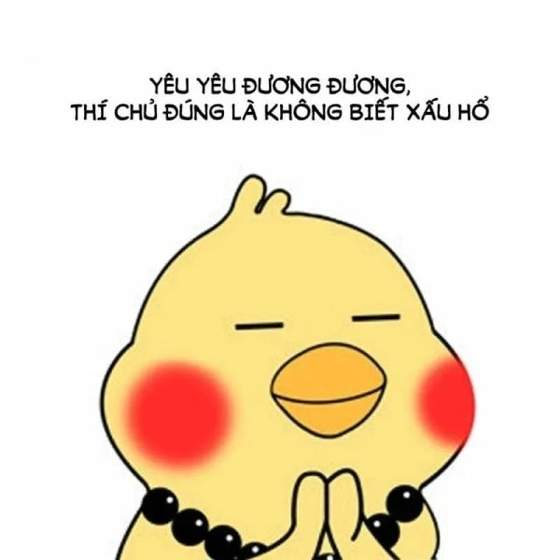Gợi ý những bức meme ngại mới nhất