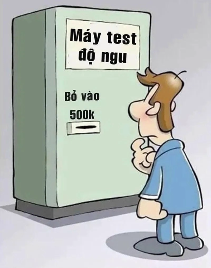 Khám phá những bức ảnh ngu meme hài hước