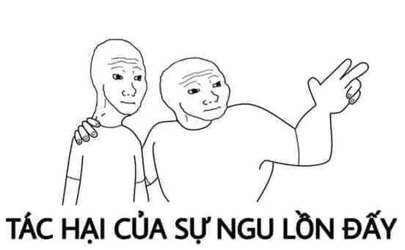 Lạc lối trong ngu meme độc đáo