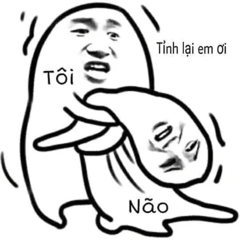 Thức dậy cùng những hình ngu meme viral