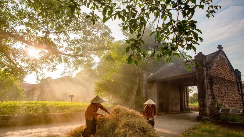 Tranh phong cảnh bình yên đơn giản nhưng đầy cảm xúc