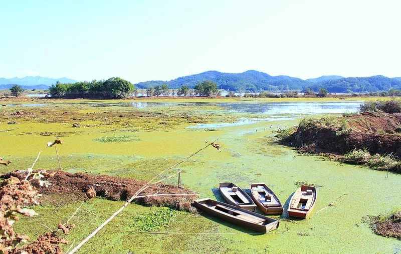 Chiêm ngưỡng Cảnh vật vùng sông nước yên bình và tĩnh lặng