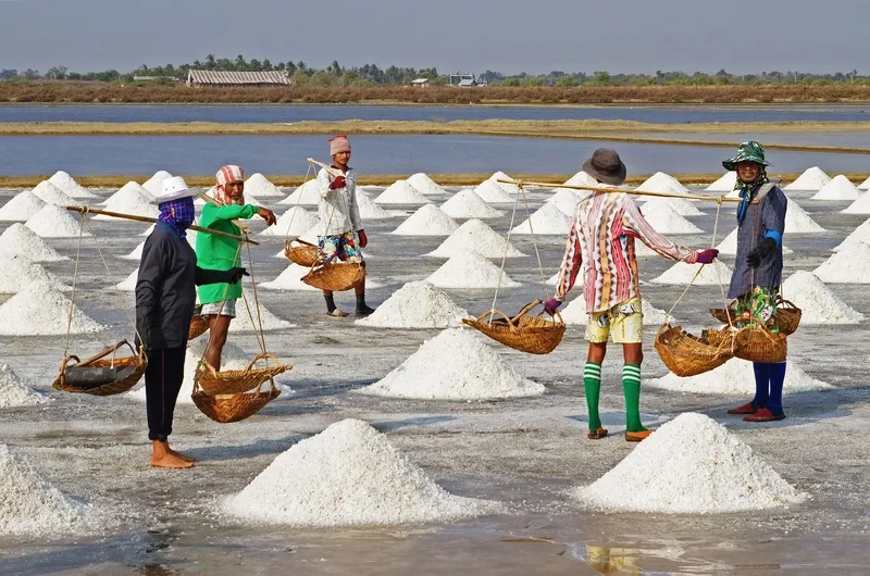 Trải nghiệm cánh đồng muối ven biển hoang sơ và thơ mộng