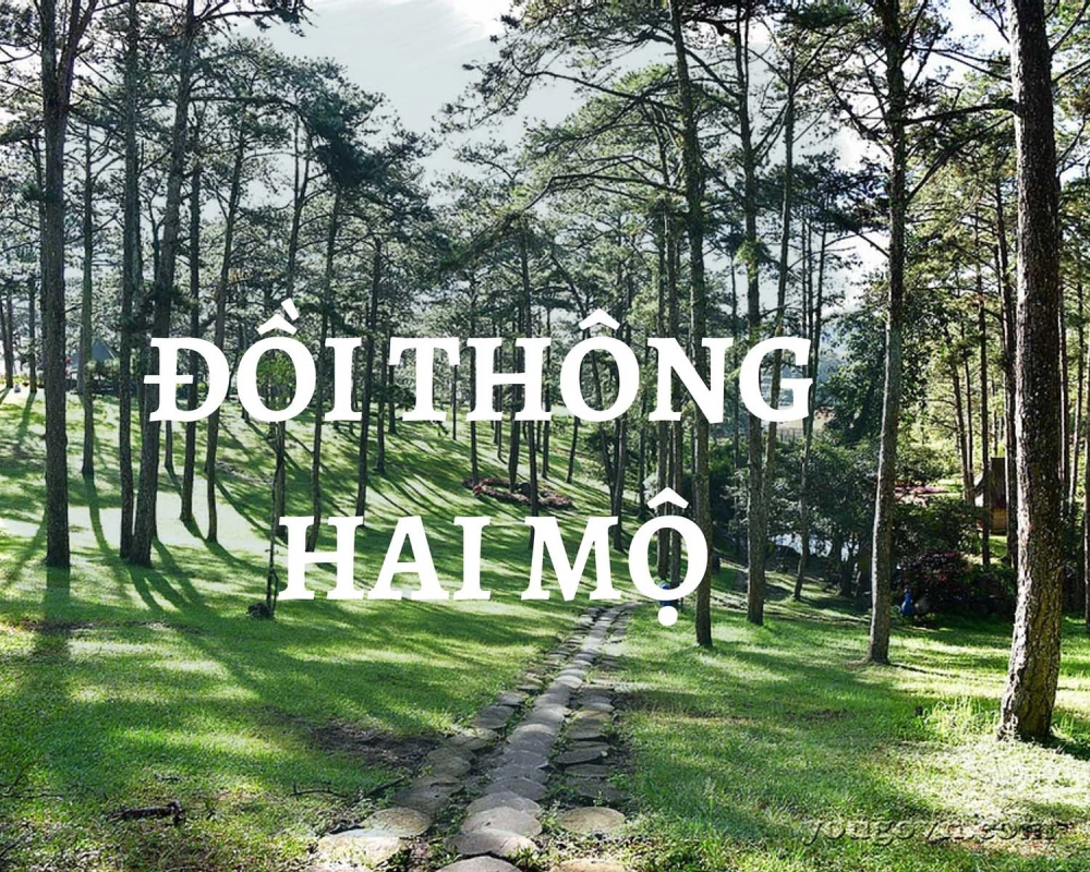 Học cách vẽ phong cảnh lâm đồng sinh động và sáng tạo