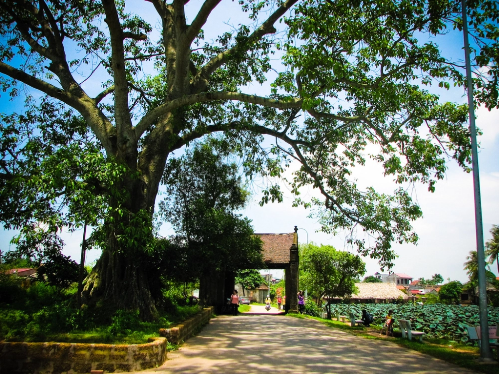 Thưởng ngoạn làng cổ đường lâm hà nội bình yên thơ mộng