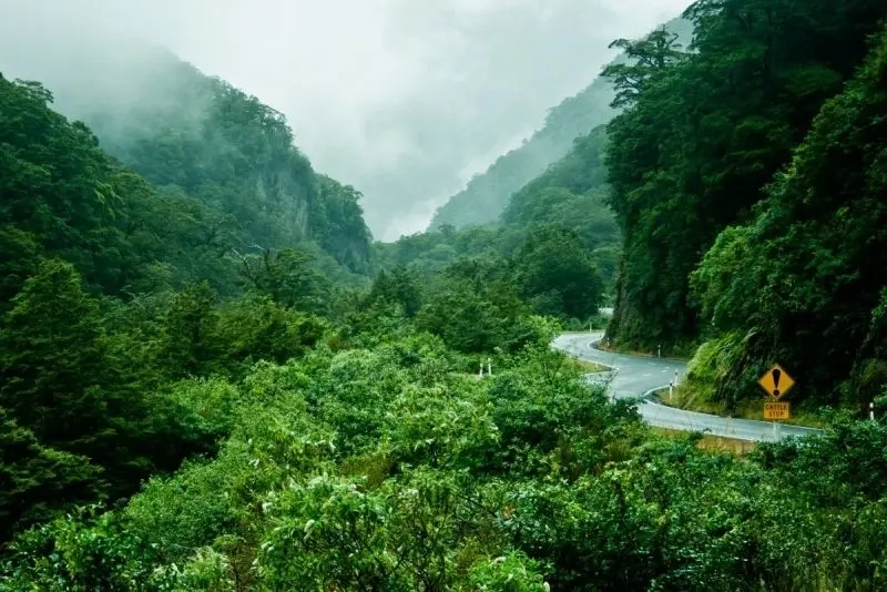 Tranh phong cảnh núi rừng tuyệt đẹp mang đến cảm giác yên bình và thư giãn