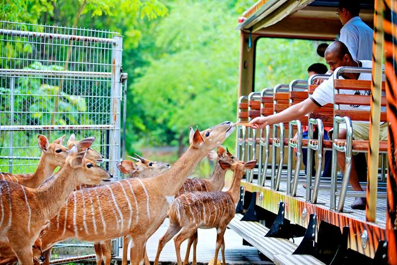 Thưởng ngoạn phong cảnh Phuket với biển trời trong xanh